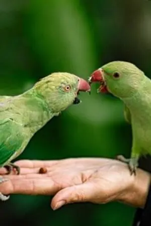 ปกนิยาย รักจนใจสลาย..