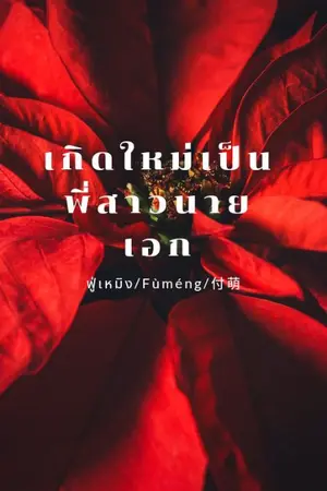 ปกนิยาย เกิดใหม่เป็นพี่สาวนายเอก