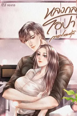 ปกนิยาย หลงกล..โอปา