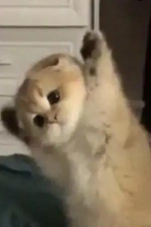 ปกนิยาย อัจฉริยะคนนั้น เป็นอะไรมากไหมคะ!? 