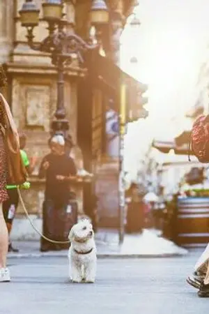 ปกนิยาย วัยรุ่นแพ้รัก