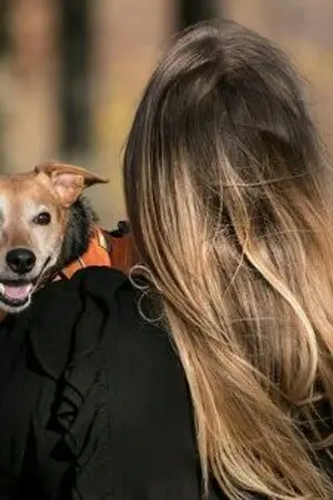 ปกนิยาย ภรรยาแสนหวานของท่านประธาน