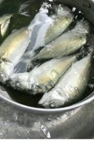 ปกนิยาย ปลาทูนิ่งสร้างรัก