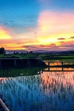 ปกนิยาย The XD Family (ปิดรับสมัครตัวละคร)