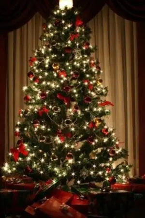 ปกนิยาย Christmas or love