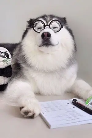 ปกนิยาย โชคชะตาบรรจบพบคุณ