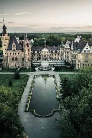 ปกนิยาย bo ku no hero academia 《ความรักของดอกทานตะวัน》