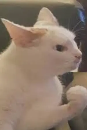 ปกนิยาย ชาติหน้ามามีความสุขให้มากกว่านี้กันเถอะ