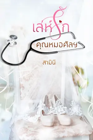 ปกนิยาย