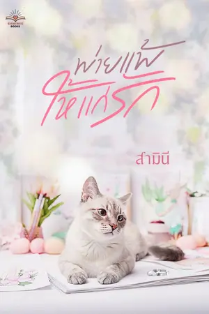 ปกนิยาย