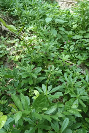 ปกนิยาย ชอบความรู้สึกแบบนี้