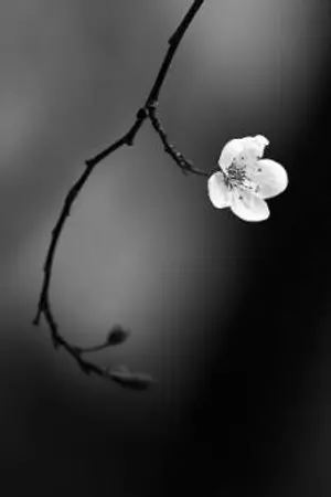 ปกนิยาย "The story of them เรื่องราวของพวกเขา"