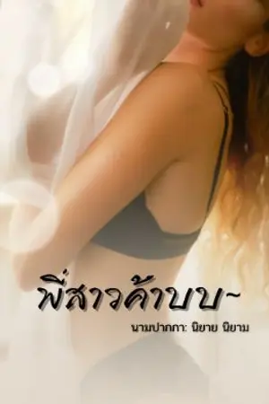 ปกนิยาย พี่สาวค้าบบ