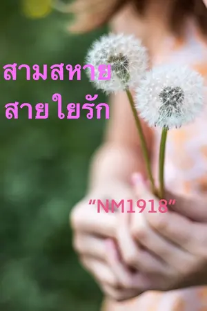 ปกนิยาย