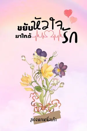 ปกนิยาย