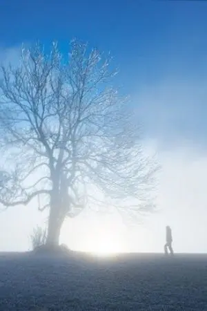 ปกนิยาย Time of the love