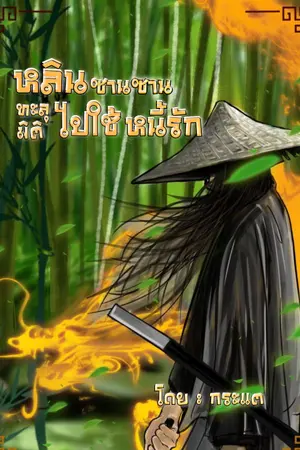 ปกนิยาย หลินซานซานทะลุมิติไปใช้หนี้รัก