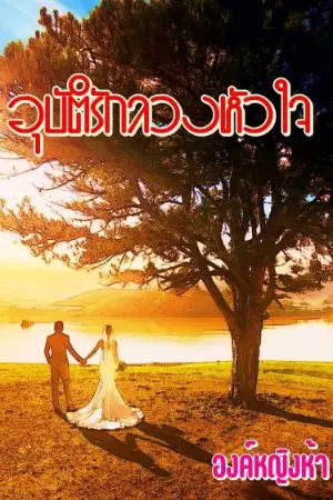 ปกนิยาย