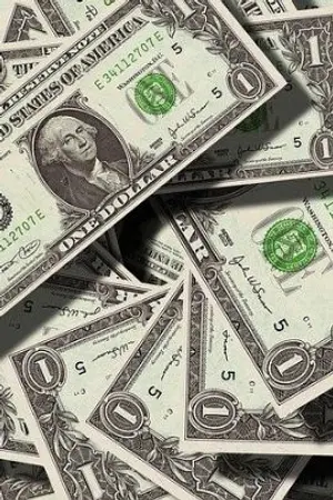 ปกนิยาย ระบบครับ ผมรวยแล้วหรอ?