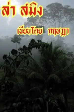 ปกนิยาย