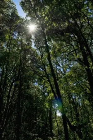 ปกนิยาย สมิงพญาเย็น ฉบับสมบูรณ์