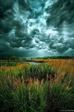 ปกนิยาย ดงพยัคฆา สาละวิน 