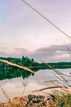 ปกนิยาย พจญไพร ลำพระเพลิง ฉบับสมบูรณ์