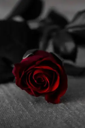 ปกนิยาย แค้น...สลับรัก