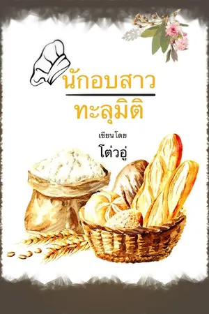 ปกนิยาย นักอบสาวทะลุมิติ (จบ)