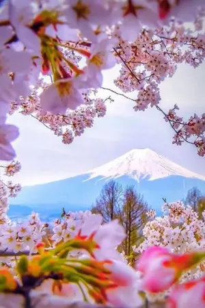 ปกนิยาย [omegaverse]​ รู้ตัวอีกทีก็กลายเป็นอัลฟ่าไปแล้วครับ