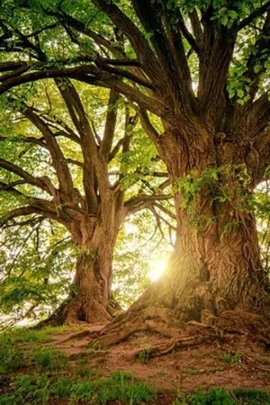 ปกนิยาย รักนะนายชาวไร่