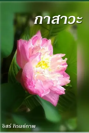 ปกนิยาย กาสาวะ