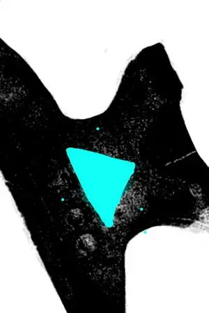 ปกนิยาย ไปเป็นช่างตีเหล็กในต่างโลก