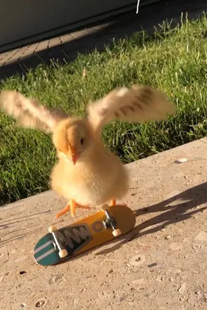 ปกนิยาย [os/sf] Fic Harry Potter ; rodariix