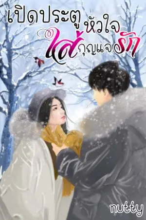 ปกนิยาย