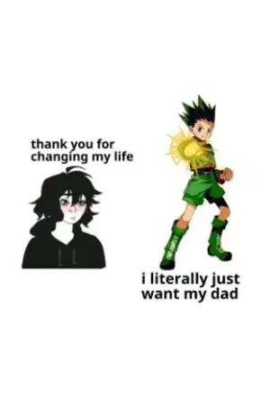 ปกนิยาย Fic Hunter × Hunter × The two wonderers