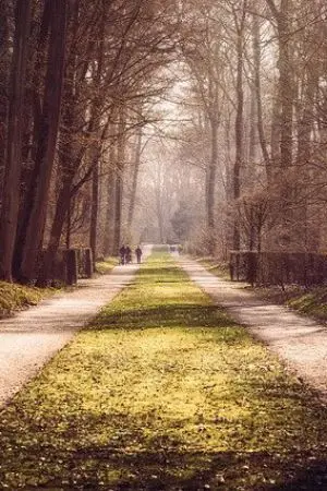 ปกนิยาย กสิพงศ์ วงศ์ระพี