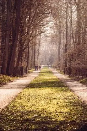 ปกนิยาย กสิพงศ์-วงศ์ระพี