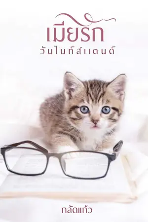 ปกนิยาย