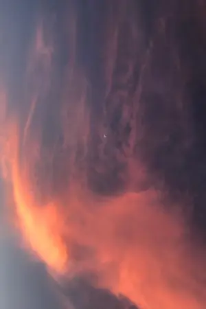 ปกนิยาย เงินตรา อุดมการณ์ และความรัก