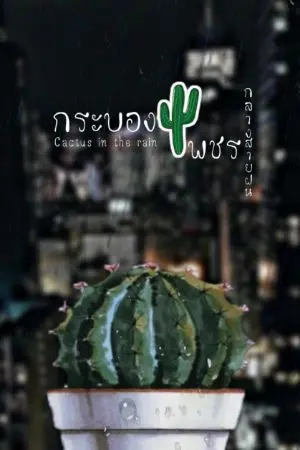 ปกนิยาย กระบองเพชรกลางสายฝน(Cactus in the rain)