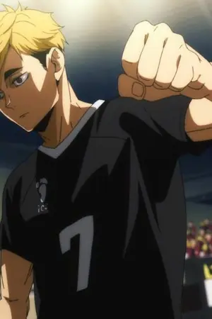 ปกนิยาย [Fic haikyuu] 非互換 แมวกับหมาไม่ถูกกัน 《atsumu x oc》