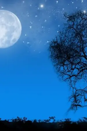 ปกนิยาย Fic Harry Potter The Moon Light