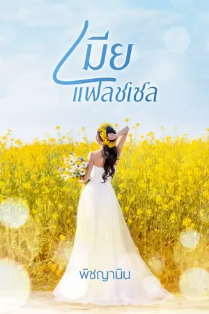 ปกนิยาย เมียแฟลชเซล