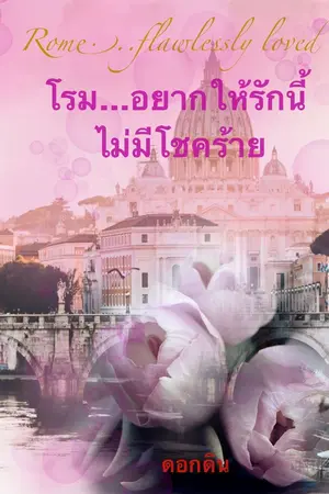 ปกนิยาย