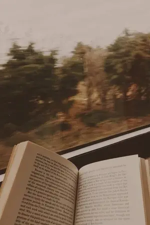 ปกนิยาย The book