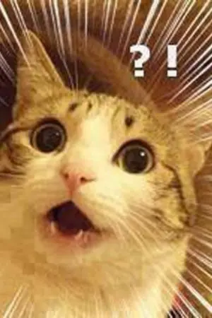 ปกนิยาย ผมและโลกใบใหม่