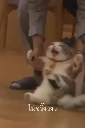 ปกนิยาย ไปต่างโลกทั้งที ดันไปช่วยจอมมารไว้