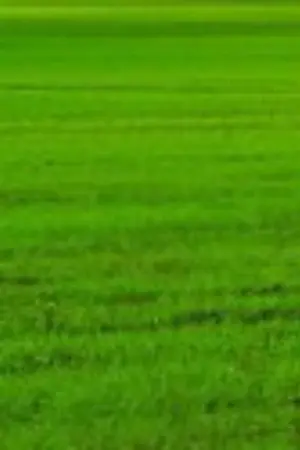 ปกนิยาย คนหลงมิติ