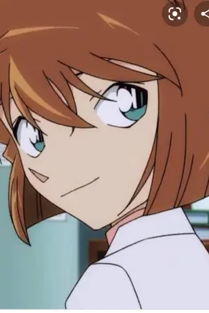 ปกนิยาย Ficconan(อากาอิ ชูอิจิ x ชิโฮะ)